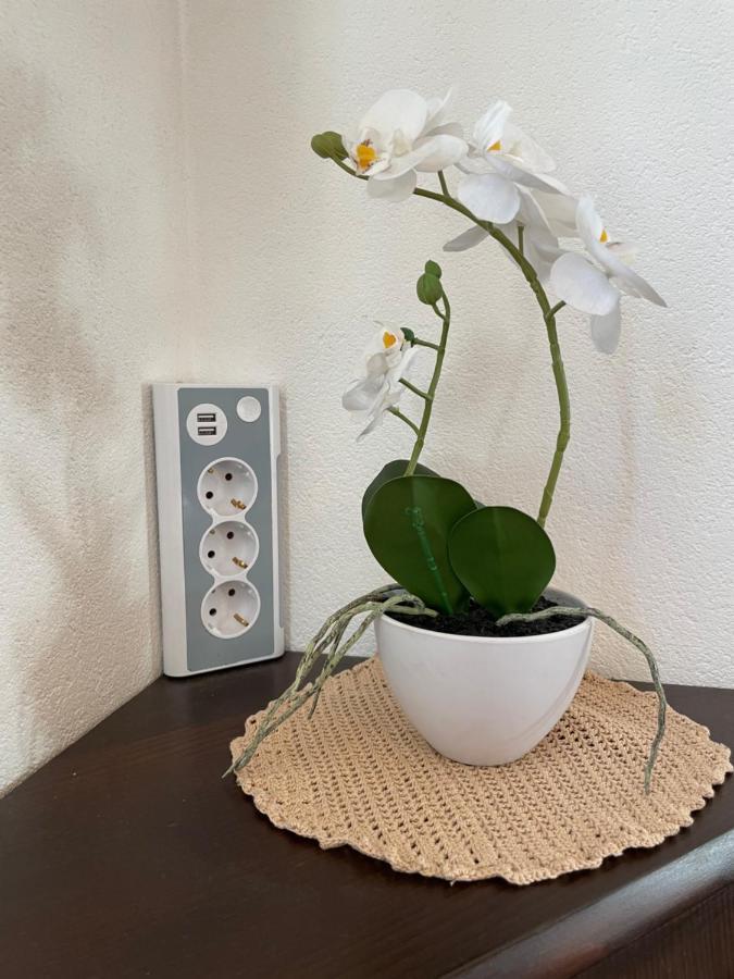 Appartement Haus Wittig *