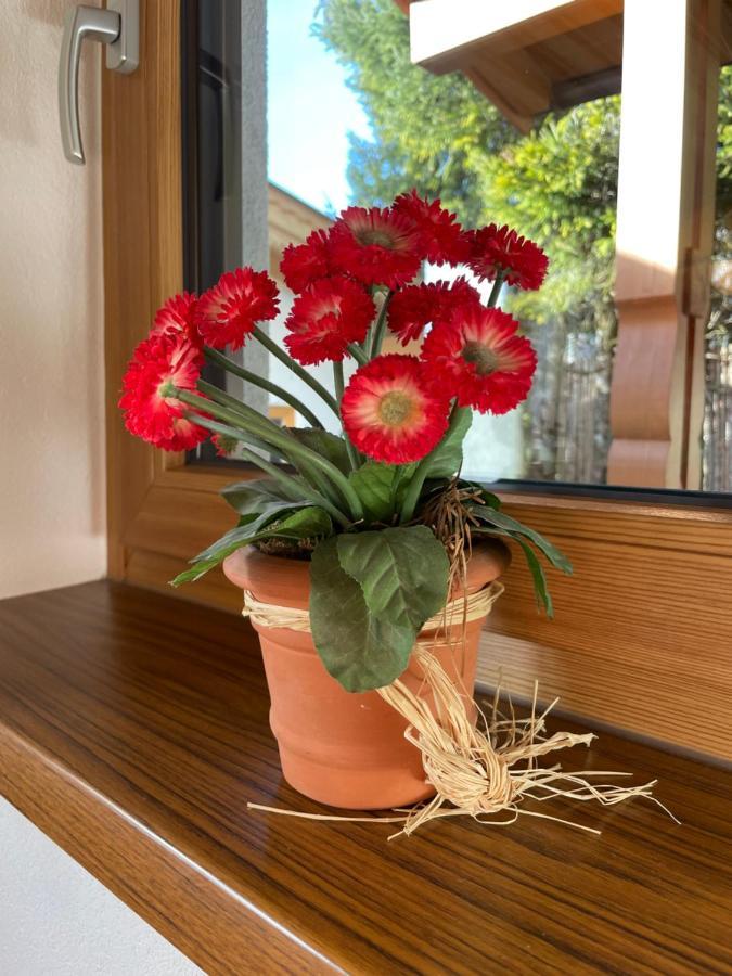 Appartement Haus Wittig Sankt Ulrich am Pillersee